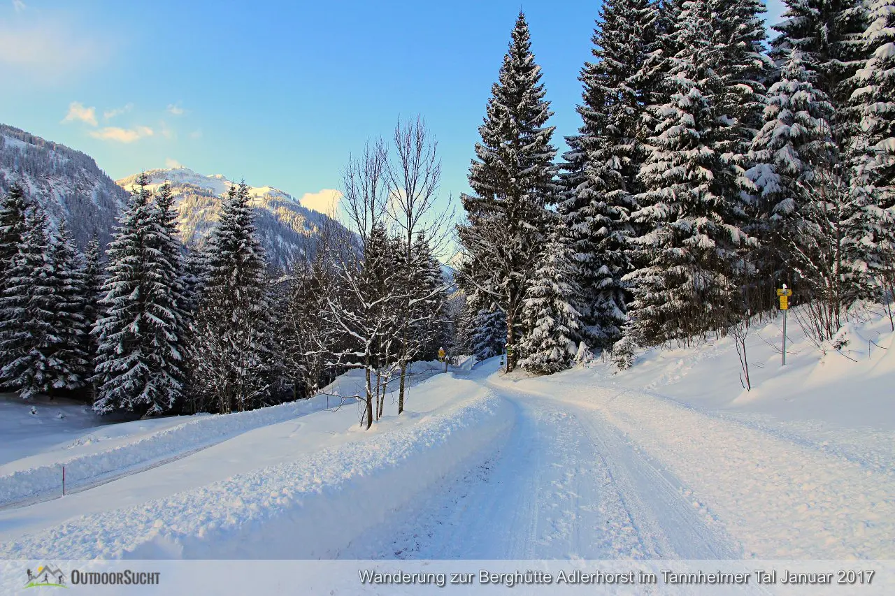 Adlerhorst Tannheimer Tal Haldensee 2017010610