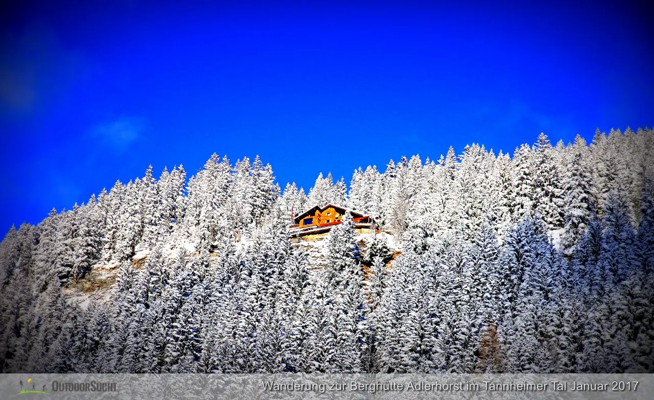 Blick hinauf zur Berghütte Adlerhorst.