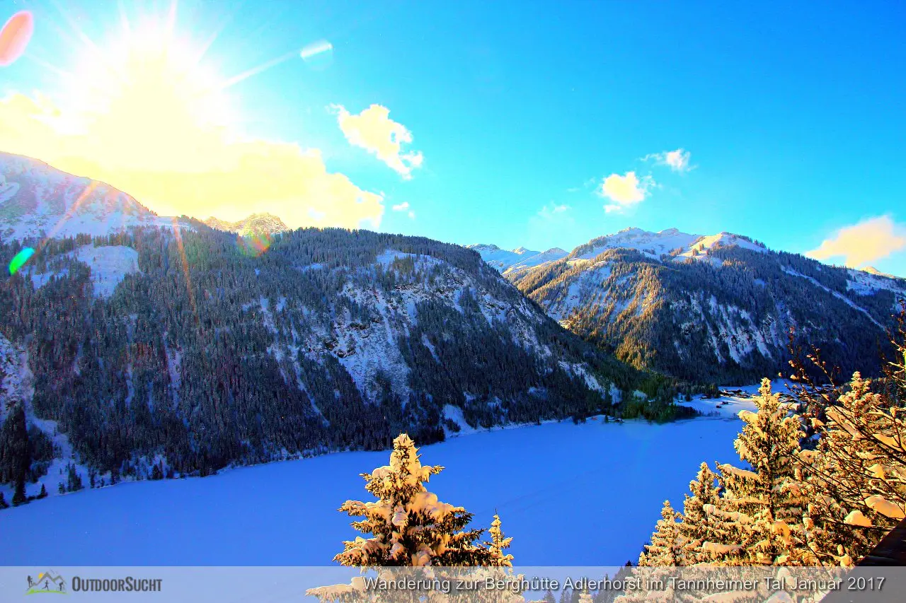 Adlerhorst Tannheimer Tal Haldensee 2017010624