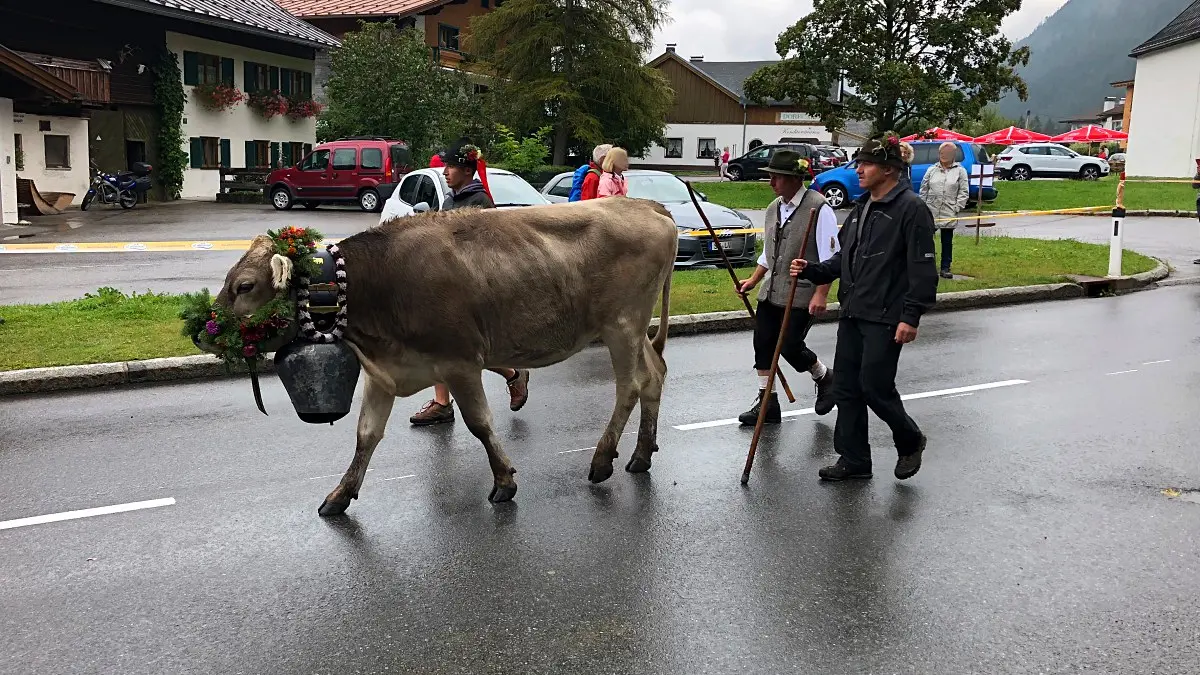 Almabtrieb „Alpfahrt 2018“ in Grän-Haldensee im Tannheimer Tal