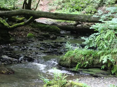 Traumschleife Baybachklamm im Hunsrück