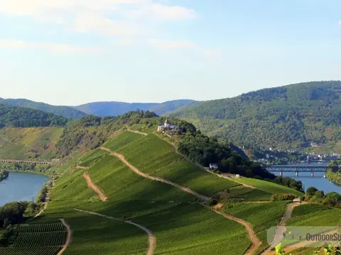Weinberge an der Moselschleife zwischen Reil und Zell