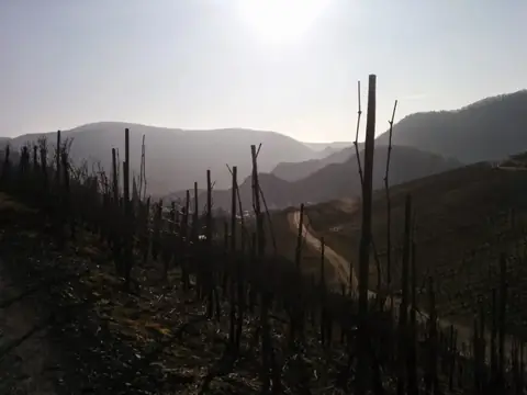 Rotweinwanderweg im Ahrtal