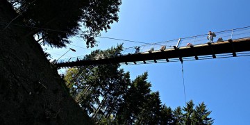 Hängeseilbrücke Geierlay bei Mörsdorf im Hunsrück geöffnet!